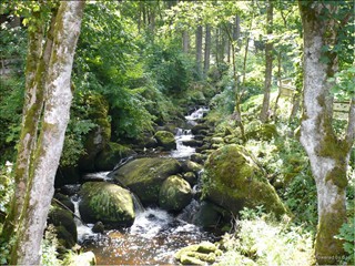 Schwarzwald-2008_00009