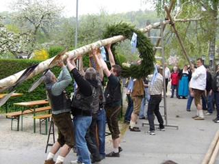 Maibaumaufstellen-08