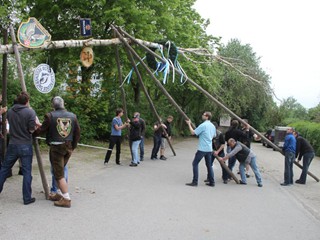 Maibaum-2014_34