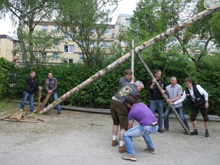 Maibaum-2014_35