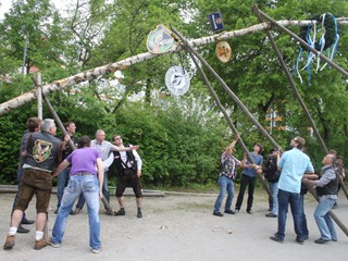 Maibaum-2014_36