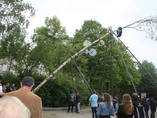 Maibaum-2014_39