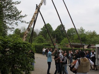 Maibaum-2014_41