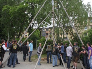 Maibaum-2014_43