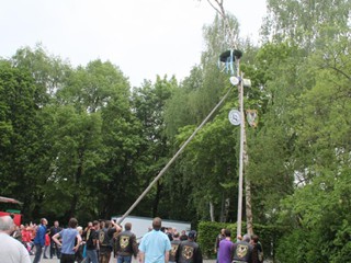 Maibaum-2014_44