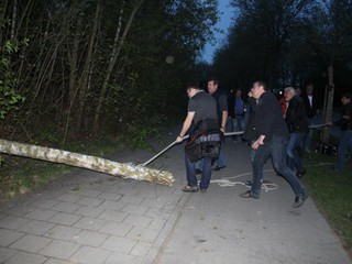 Maibaum-2015_12