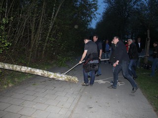 Maibaum-2015_12