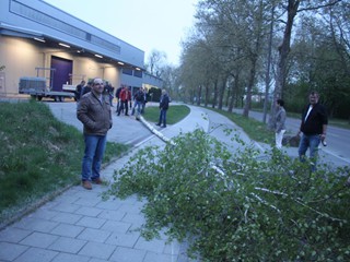 Maibaum-2015_14