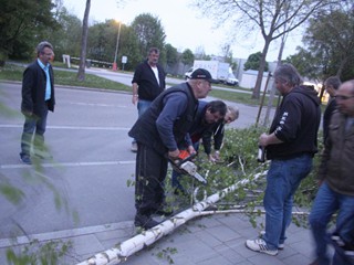 Maibaum-2015_16