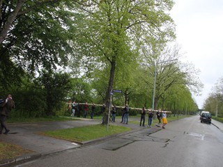 Maibaum-2015_34