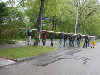 Maibaum-2015_35