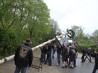 Maibaum-2015_58