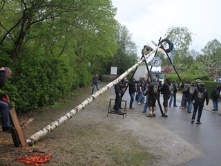 Maibaum-2015_59