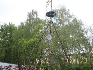 Maibaum-2015_68