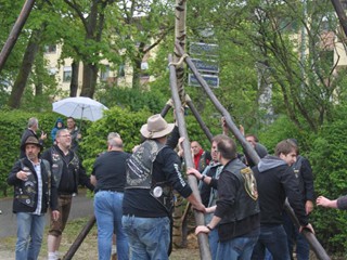 Maibaum-2015_69