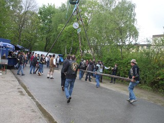 Maibaum-2015_71