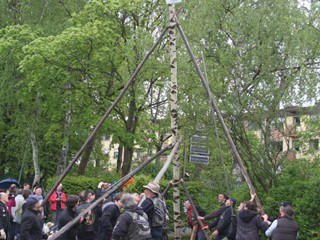 Maibaum-2015_76