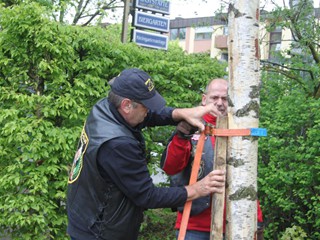 Maibaum-2015_79