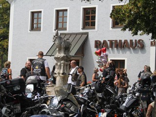 Arlecchinos-Spalierfahren_28