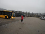Birki-50er-Bus_2