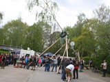 Maibaum-2016_66