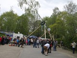 Maibaum-2016_67