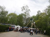 Maibaum-2016_68