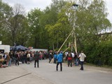 Maibaum-2016_70