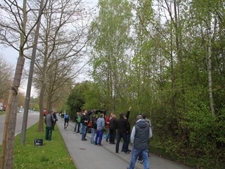 Maibaumauftellen-2017_1