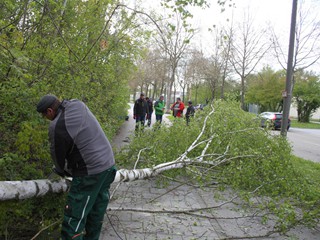 Maibaumauftellen-2017_21