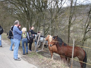 Döttingen-2017_64