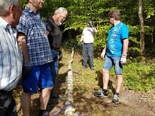 Maibaum-2018_25