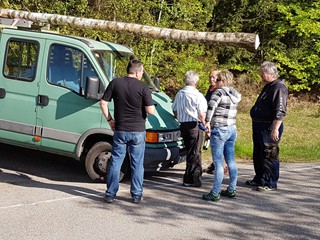 Maibaum-2018_33