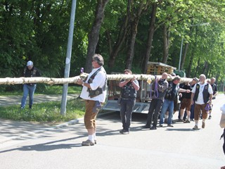 Maibaum-2018_48