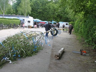 Maibaum-2018_75