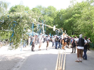 Maibaum-2018_87