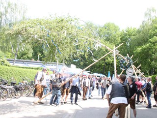 Maibaum-2018_88