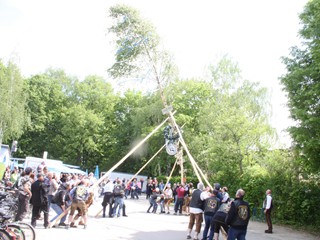 Maibaum-2018_91