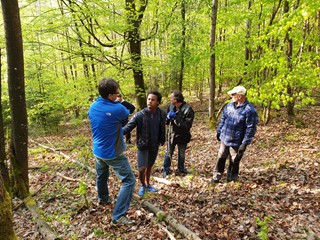 Maibaum-2019_08