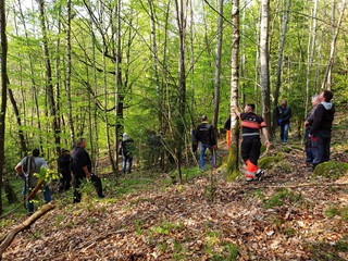 Maibaum-2019_09