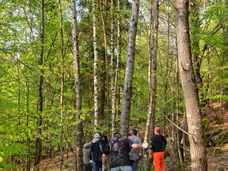 Maibaum-2019_10