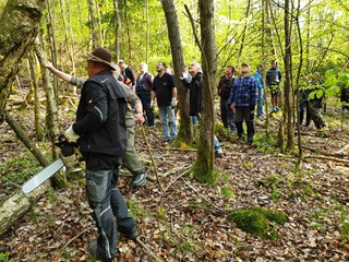 Maibaum-2019_18