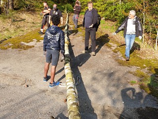 Maibaum-2019_24