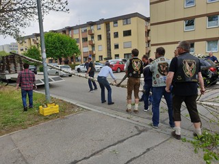 Maibaum-2019_35