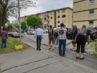 Maibaum-2019_36