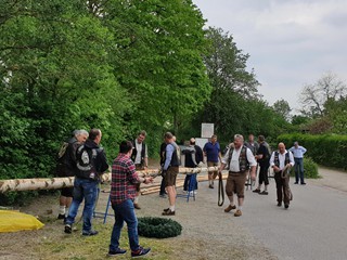 Maibaum-2019_42