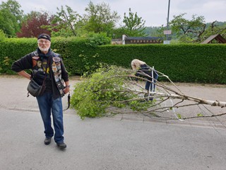 Maibaum-2019_44