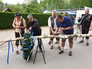 Maibaum-2019_45