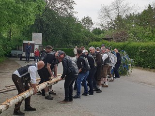 Maibaum-2019_54