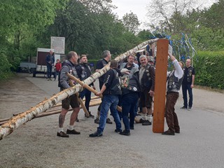 Maibaum-2019_56